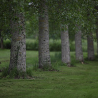 Photo GOLF DE LOLIVARIE 9
