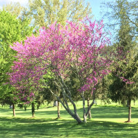 Photo GOLF DE LOLIVARIE 7