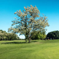 Photo GOLF CLUB DE STRASBOURG 3
