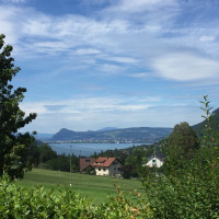 Photo GOLF DU LAC D'ANNECY 6