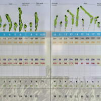 Photo GOLF BLUEGREEN MAROLLES-EN-BRIE 3