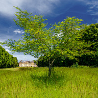 Photo UGOLF CHÂTEAU DE RARAY 6
