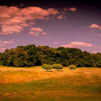 Photo UGOLF CHÂTEAU DE RARAY 4