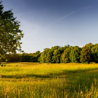 Photo UGOLF CHÂTEAU DE RARAY 2