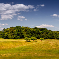 Photo UGOLF CHÂTEAU DE RARAY 10