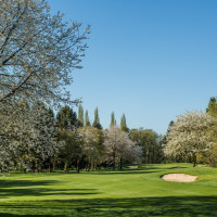 Photo UGOLF APREMONT 7