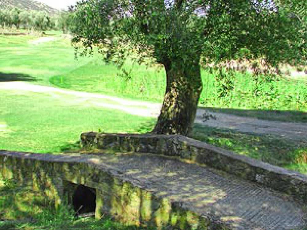 GOLF DU REGINU